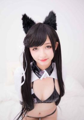 代号电视剧在线观看免费完整版_无广告免费播放高清电影